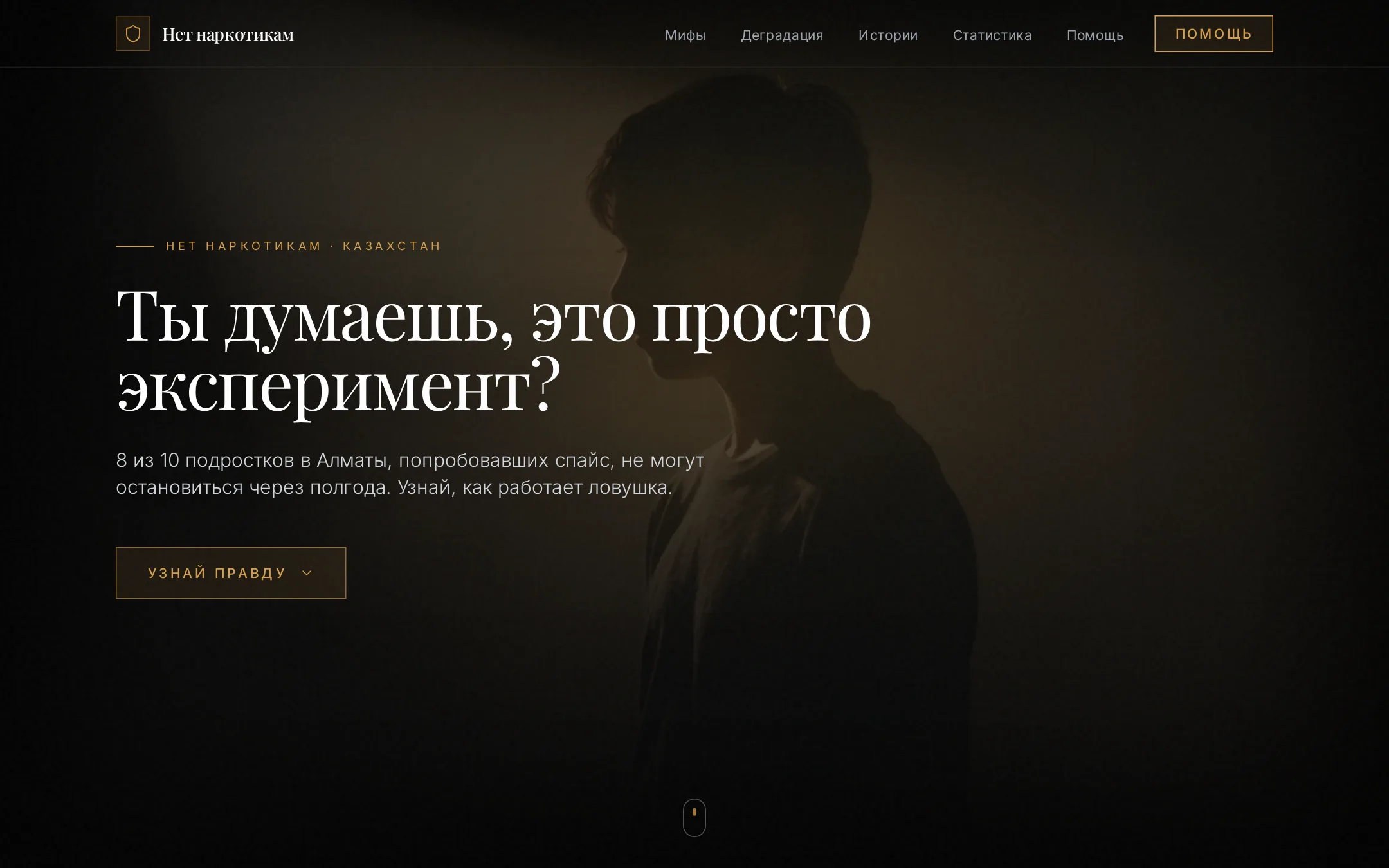 Сайт Нет наркотикам — Социальный проект, создан на Vibex